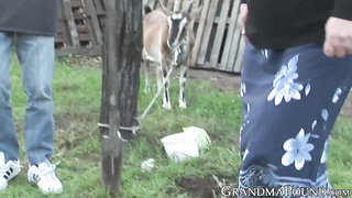 Kinky granny sucking cock outdoor and gets sprayed with cum