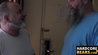 HardcoreBears.com - Hairy cub receives a raw ass pounding from a chubby bear stud