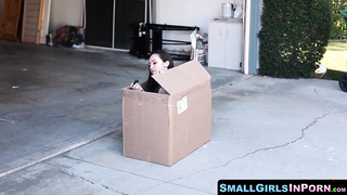 SmallGirlsInPorn.com - Hot Lily gets her tight teen twat destroyed roughly by big dick