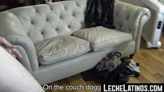 LecheLatinos.com - Young Latino's passionate POV blowjob and breeding session