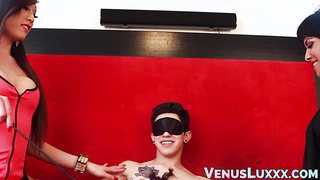 Juicy tits Asian tranny Venus Lux gets sticky facial in 3way