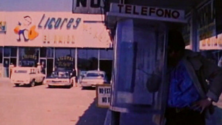 Busty Annette Haven sucks and fucks in hardcore retro porn