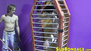 Caged twink whipped and tormented hard ends up masturbating