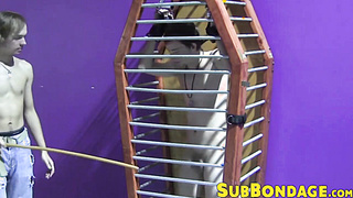 Caged twink whipped and tormented hard ends up masturbating