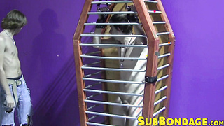 Caged twink whipped and tormented hard ends up masturbating