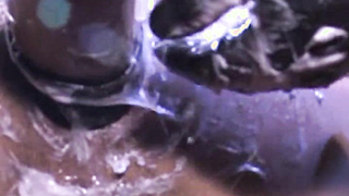 It's time for Marc and BILLY to work over Lee Heyford, which they do to an eye-popping orgasm. Capturing each other's palm, they dive in together, Lee.