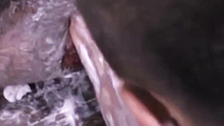 Matthieu's butt thirst to be serviced and Lee is only too glad to oblige. You know you're in for a fine demonstrate when you very first practice another.