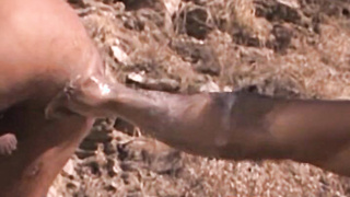 Furious Stallion handballing worshippers will certainly reminisce this pair's amazing spectacle in our latest greatest in fuck-hole handballing feature.