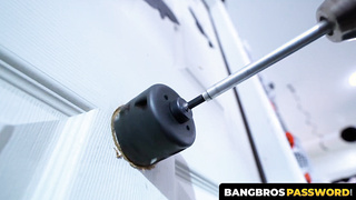 BangbrosPassword.com - Ebony queen Cecilia Lion screwed after glory crevice sucky-sucky by a stranger