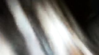 COUGAR Salivating on my Yam-Sized Chocolate-Colored Prick - Wrecked Climax