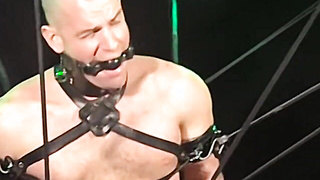 Bigg Pete fights to get off the chains tied to his assets down to his ball-sac