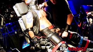 Imperious tormentor likes jocky nip and cockplaying