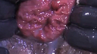 Smacks lead to munches, drool leads to grease, and briefly they're taking turns gliding arms up Marc's willing and greeting slot.