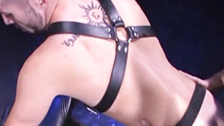 David has a thick uncircumcised tcock for Nicolas to adore. Nicolas slurps up and down David's leather jock, making the meatpipe get larger monstrous.