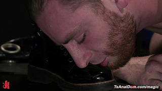 Compilation of domineering t-models