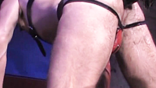 David has a thick uncircumcised weenie for Nicolas to adore. Nicolas gobbles up and down David's leather jock, making the trunk get bigger meaty.