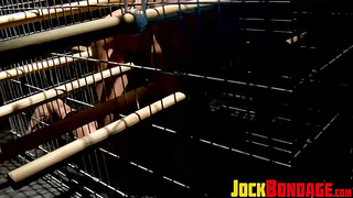 Bulky pup Tyler Saint handled like a slave by his spectacular dominator