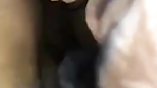 Si Adik Udah Tau Ngewe