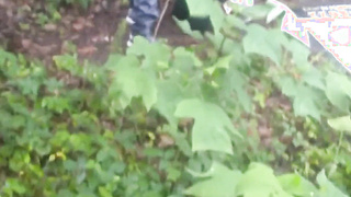 In The Forest