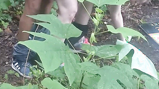 In The Forest