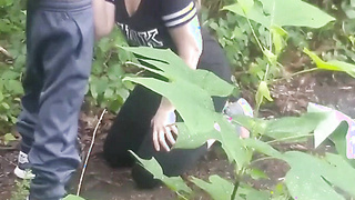 In The Forest
