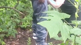 In The Forest