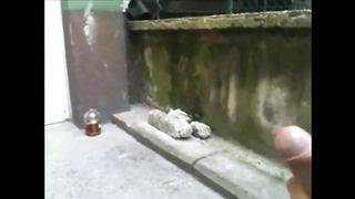 Homemade jism in jaws compilation! Hottest Hookup gauze