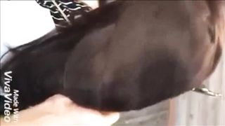 Velvety Hefty Hair Have Fun by Guy