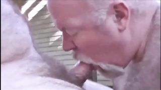 De todo un poco o un poco de todo