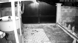 Ipcam caught dad boink stepdaughters acquaintance while rest is away!