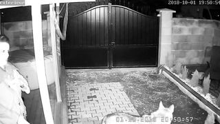 Ipcam caught dad boink stepdaughters acquaintance while rest is away!