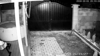 Ipcam caught dad boink stepdaughters acquaintance while rest is away!