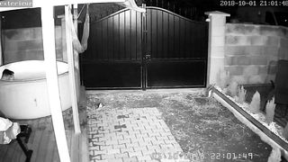 Ipcam caught dad boink stepdaughters acquaintance while rest is away!