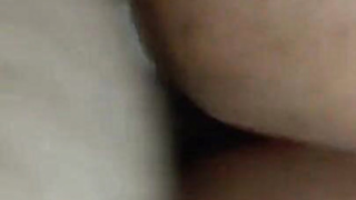 Porking cougar in the butt