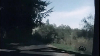 They took my virginity away