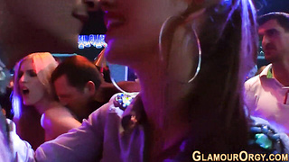 Bitchy erotic honies rail