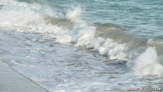 MARIE HOTTY, EN TOUTE INTIMITÉ