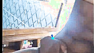 Super-cute Indian Gal Demonstrates Bare Bod For Paramour and Drilling