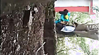 Indian Viral MMS Total vids 2