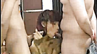 Indian XXL Caboose Wifey Plumbing