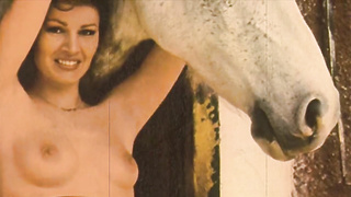 Antique Taboo, Cunny & Pooch