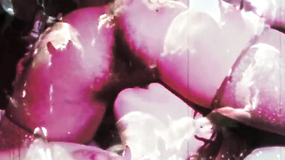 Antique Taboo, Cunny & Pooch