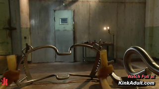 Aariella Alexis Smacked and Donk Plowed