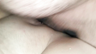 I jism inwards my greatest Dutch buddy two times. Dump her beaver terrifically utter again. Dame dutch dame