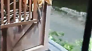 Indian Cpl Romance and Pummeling