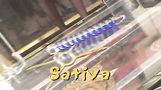 Sativa Rose has multiracial orgy to sate her cunny