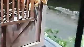 Indian Mommy affair with awara Stud