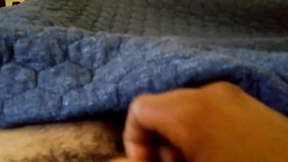 MAN KITTY NEEDS TAMING!