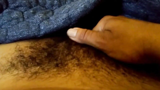 MAN KITTY NEEDS TAMING!