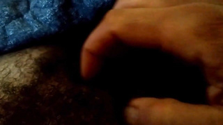 MAN KITTY NEEDS TAMING!